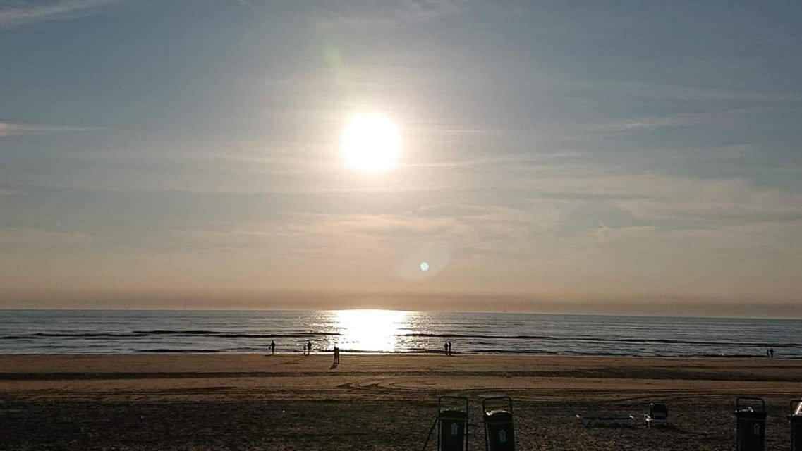 זנדוורט Beach&Dunes Apartment מראה חיצוני תמונה