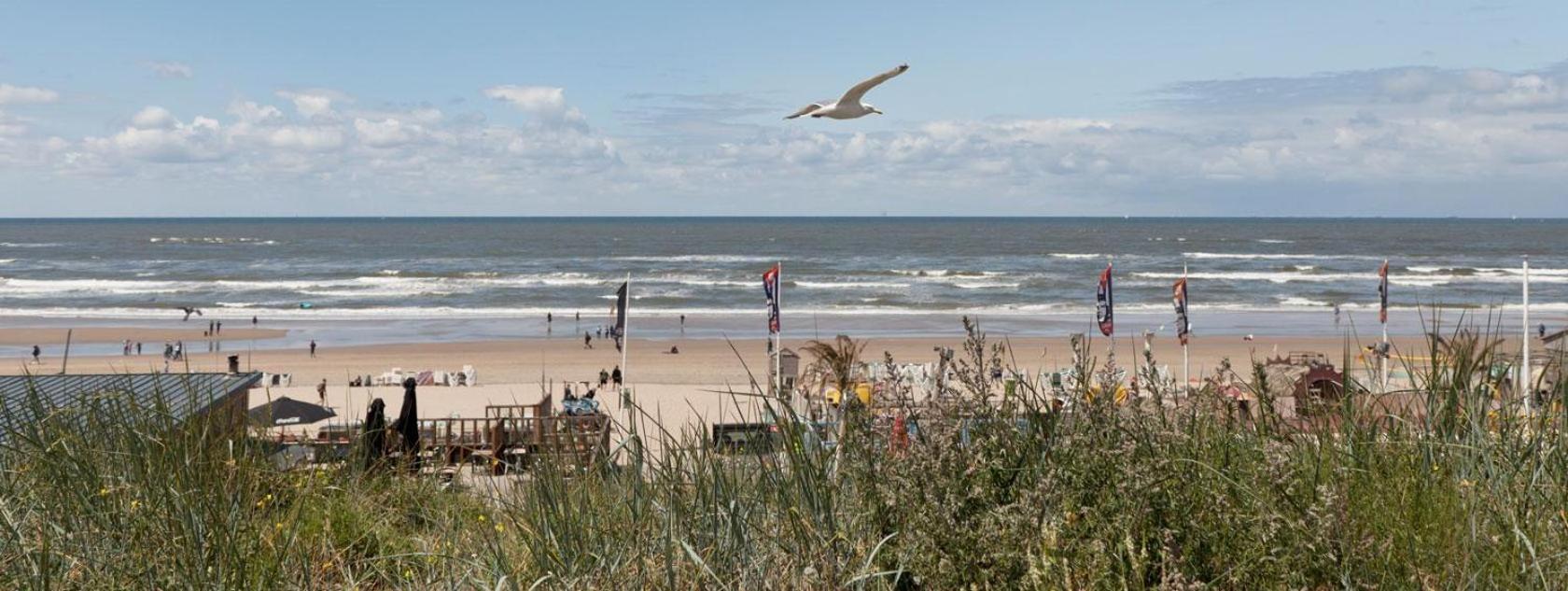 זנדוורט Beach&Dunes Apartment מראה חיצוני תמונה