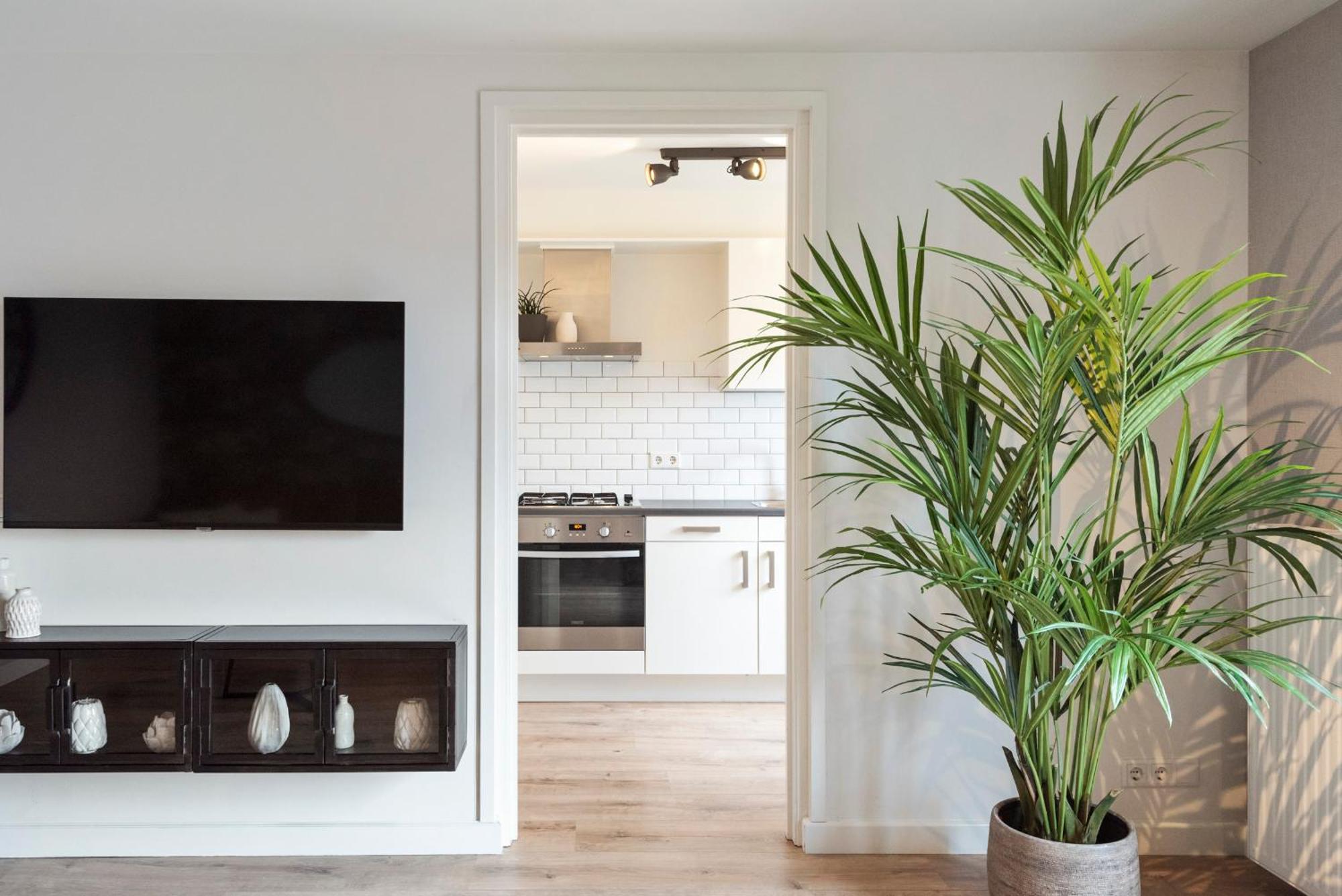 זנדוורט Beach&Dunes Apartment מראה חיצוני תמונה